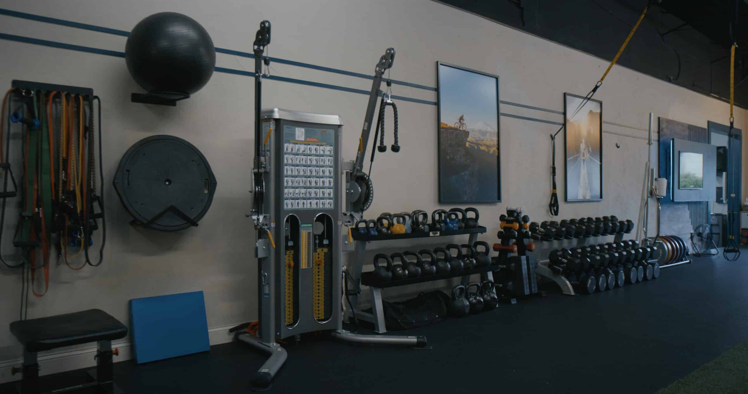 wall of weights and bands at the gym